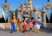     - PLD Travel